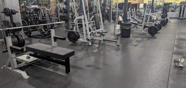 gym26 free weight benches