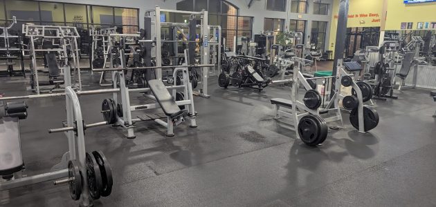 gym26 more free weight benches